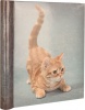 Фото товара Фотоальбом Chako 20 Sheet 9821 Cats New