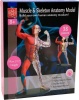 Фото товара Набор для исследований Edu-Toys Модель мышц и скелета человека 19 см (SK056)