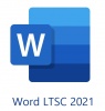 Фото товара Microsoft Word LTSC 2021 Commercial Perpetual (DG7GMGF0D7D3_0002)