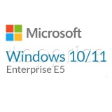 Фото Microsoft Windows 10/11 Enterprise E5 P1Y Annual License (CFQ7TTC0LFNW_0002_P1Y_A)