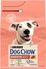 Фото товара Корм для собак Dog Chow для взрослых, склонных к аллергии собак с лососем 2.5 кг (7613034488268)