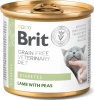Фото товара Корм для котов Brit GF Veterinary Diet Cat Cans Diabetes 200 г (100710)