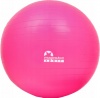 Фото товара Мяч для фитнеса Majestic Sport Anti-Burst 75 см (GVP5028/P)