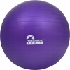 Фото товара Мяч для фитнеса Majestic Sport Anti-Burst 65 см (GVP5028/V)