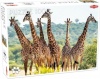 Фото товара Пазл Tactic Высокие жирафы (56755)