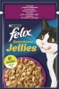 Фото товара Корм для котов Felix Sensations с уткой и шпинатом в желе 85 г (7613039831281)