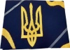 Фото товара Плед Прованс Украина 100х150 см (4823093442825)