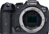 Фото Цифровая фотокамера Canon EOS R7 Body (5137C041)