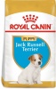 Фото товара Корм для собак Royal Canin Jack Russel Puppy 1,5 кг (21010151/3182550822121)