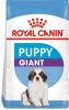 Фото товара Корм для собак Royal Canin Giant Puppy 15 кг (3030150/3182550707046)