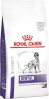 Фото товара Корм для собак Royal Canin Dental Medium & Large Dog 6 кг (3722060/3182550723664)