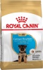 Фото товара Корм для собак Royal Canin German Shepherd Puppy 3 кг (251903019/3182550724142)