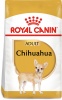Фото товара Корм для собак Royal Canin Chihuahua Adult 1,5 кг (2210015/3182550728102)