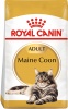 Фото товара Корм для котов Royal Canin Mainecoon Adult 10 кг (2550100/3182550710664)