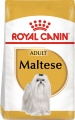 Фото Корм для собак Royal Canin Maltese Adult 500 г (3995005/3182550782180)