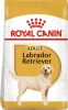 Фото товара Корм для собак Royal Canin Labrador Adult 12 кг (2487120/3182550715645)