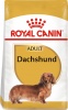 Фото товара Корм для собак Royal Canin Dachshund Adult 1,5 кг (3059015/3182550717335)