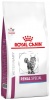 Фото товара Корм для котов Royal Canin Renal Special Cat 400 г (3949004/3182550917049)