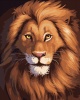 Фото товара Рисование по номерам Strateg Улыбка льва (DY198)