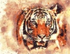 Фото товара Рисование по номерам Strateg Огненный тигр (DY128)