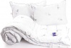 Фото товара Набор Руно 924.52 Silver Swan Demi одеяло 140х205 см + подушка 50х70 см (2000009620689)