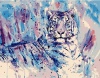 Фото товара Рисование по номерам Strateg Акварельный тигр (DY130)