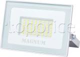 Фото Прожектор Magnum FL 12 ECO LED 50W Slim White 6500К IP65 (90020425/90018086)