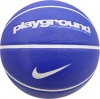 Фото товара Мяч баскетбольный Nike Everyday Playground 8P GRA size 5 (N.100.4371.414.05)