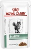 Фото товара Корм для котов Royal Canin Diabetic Cat кусочки в соусе 85 г (40850011/9003579027813)