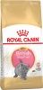 Фото товара Корм для котов Royal Canin Kitten British Shorthair 10 кг (2566100/3182550816540)