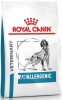 Фото товара Корм для собак Royal Canin Anallergenic Dog 8 кг (40140801/3182550940566)