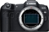 Фото Цифровая фотокамера Canon EOS R8 Body (5803C019)