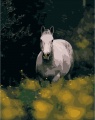 Фото Рисование по номерам Strateg Конь среди цветов (DY105)