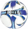 Фото товара Мяч футбольный Joma Dali size 5 White/Blue (400083.312.5)