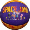 Фото товара Мяч баскетбольный Spalding Space Jam Tune Squad Size 5 (84602Z)