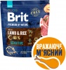 Фото товара Корм для собак Brit Premium Sensitive Lamb 1 кг (170842/6611)