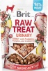Фото товара Лакомство для собак Brit Raw Treat Urinary Freeze-Dried Индейка 40 г (112134)