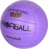 Фото товара Мяч волейбольный Profi EN 3283