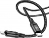 Фото товара Кабель USB Type-C -> Lightning Borofone BX56 Delightful 1 м Black (BX56CLB)