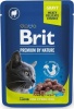 Фото товара Корм для котов Brit Premium Cat Ягненок 100 г (111831)
