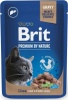 Фото товара Корм для котов Brit Premium Cat Печень 100 г (111832)