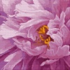 Фото товара Набор для творчества Santi Алмазная мозаика Розовый пион (954704)