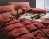 Фото Комплект постельного белья ШЕМ Hemp коттон односпальный Терракотовый 150х215 см
