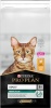 Фото товара Корм для котов Pro Plan Renal Adult с курицей 14 кг (7613287887733)