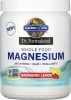 Фото товара Магний Garden of Life Whole Food Magnesium Powder 198.4 г (GOL12279)