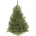 Фото Сосна Triumph Tree h-0.9 м Forest Frosted Green (8717669551881)