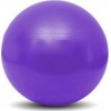 Фото товара Мяч для фитнеса Profi 75 см Lilac (M0277-3)