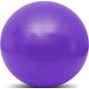 Фото товара Мяч для фитнеса Profi 65 см Violet (M0276-3)
