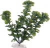 Фото товара Растение пластиковое Tetra Cabomba 11-15 см (606906)