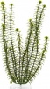 Фото товара Растение пластиковое Tetra Anacharis 11-15 см (606883)